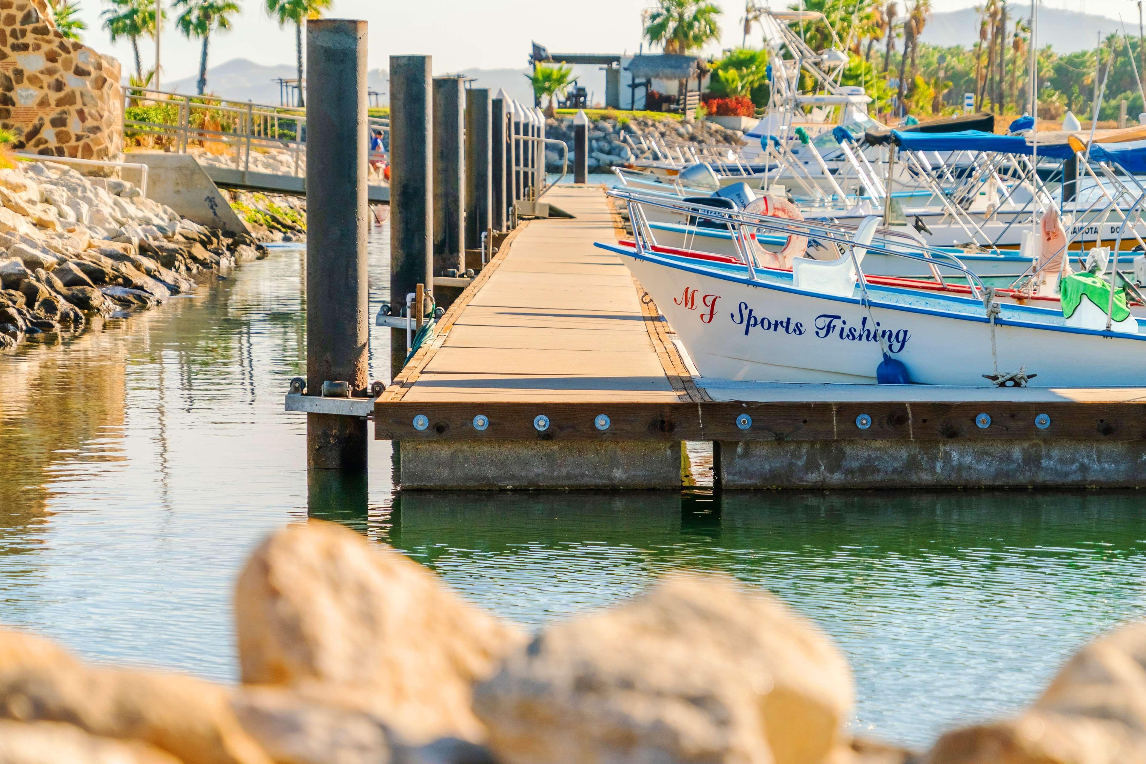 Hyatt Place Los Cabos San José del Cabo Dış mekan fotoğraf